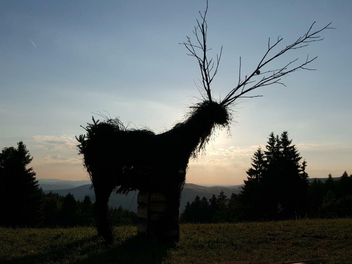 Ferienhaus Am Kirchberg Kurort Steinbach-Hallenberg Luaran gambar