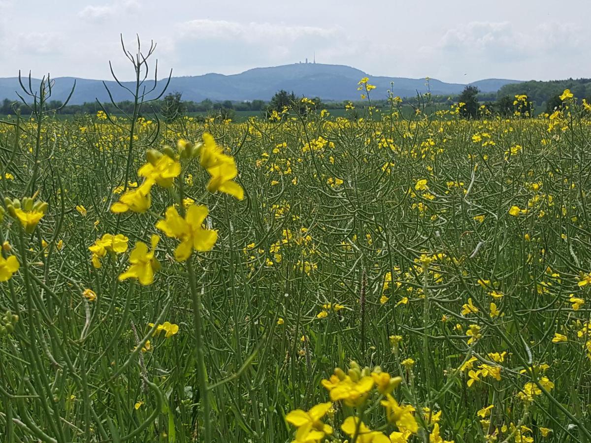 Ferienhaus Am Kirchberg Kurort Steinbach-Hallenberg Luaran gambar