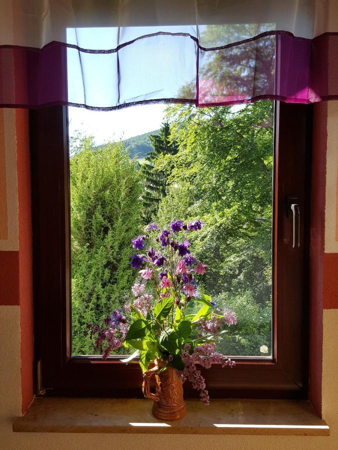 Ferienhaus Am Kirchberg Kurort Steinbach-Hallenberg Luaran gambar